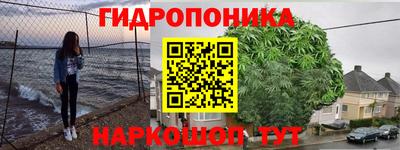 jwh Бердск