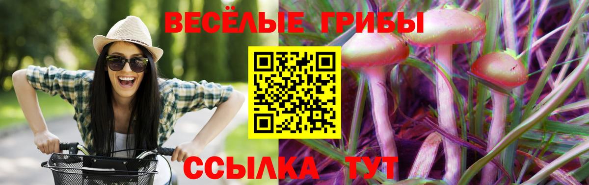 Великий Новгород  Галлюциногенные грибы мухоморы  наркота  Псилоцибиновые грибы Cubensis  Вход с VPN 